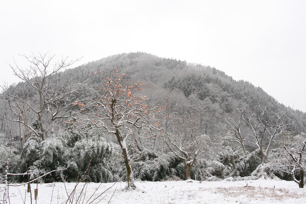 Madarao Farm Villa Nakano  Bagian luar foto