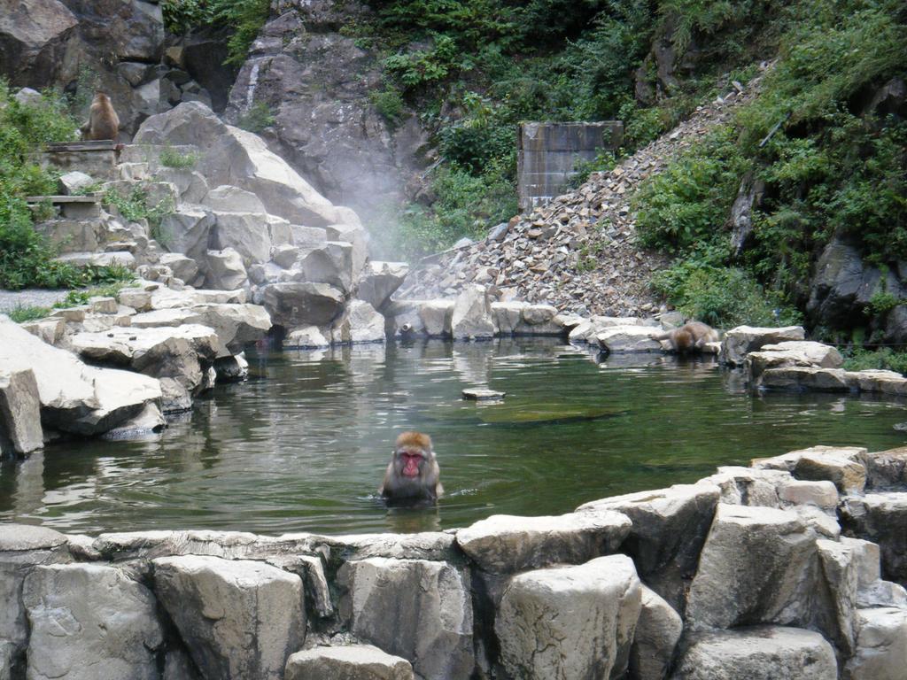 Madarao Farm Villa Nakano  Bagian luar foto